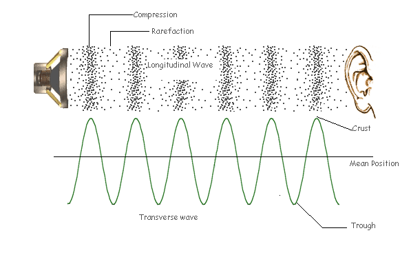 transverse wave
